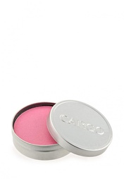 Румяна CARGO Cosmetics