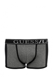 Трусы Guess