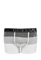 Трусы Guess