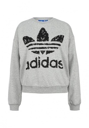 Свитшот adidas Originals