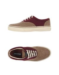 Низкие кеды и кроссовки Sperry Top Sider