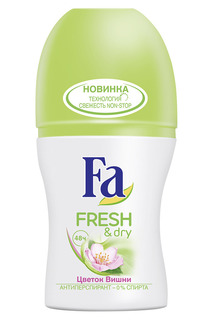 Дезодорант роликовый Fa
