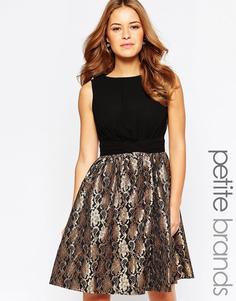 Короткое приталенное платье с кружевной юбкой Little Mistress Petite