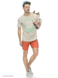 Бордшорты DC Shoes
