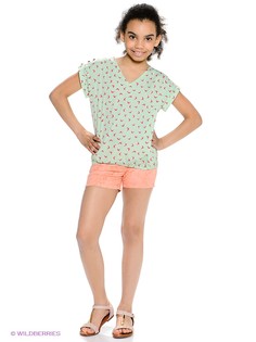 Шорты American Outfitters