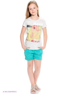 Шорты American Outfitters