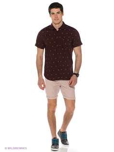 Шорты Quiksilver