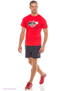 Бордшорты KELME