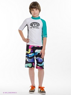 Бордшорты Quiksilver