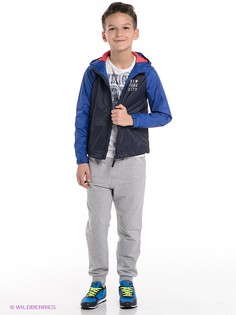 Куртки Tommy Hilfiger