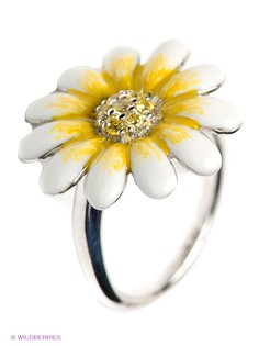 Ювелирные кольца Silver Wings