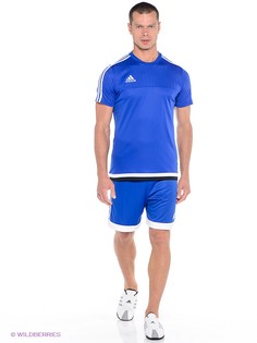 Шорты adidas
