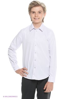 Рубашки Button Blue