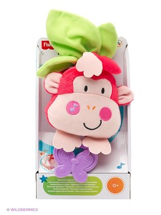 Развивающие игрушки FisherPrice