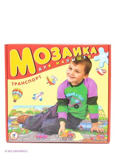 Пазлы Дрофа-Медиа