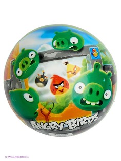 Пляжные ANGRY BIRDS