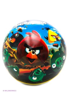 Пляжные ANGRY BIRDS