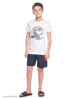 Шорты Quiksilver