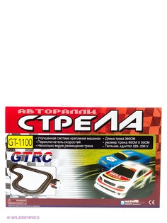 Интерактивные игрушки Racing PRO