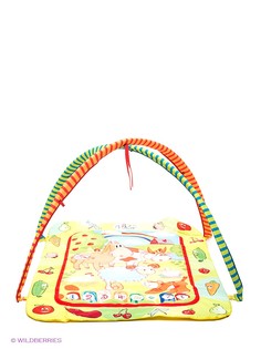 Развивающие игрушки Amico