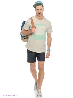 Бордшорты DC Shoes