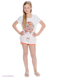 Шорты American Outfitters