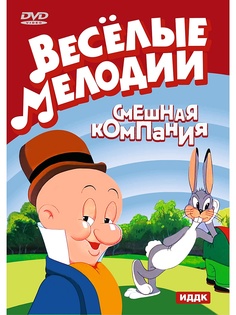 DVD диски ИДДК