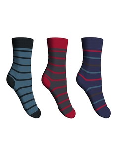 Носки Master Socks