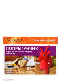 Развивающие игрушки BRADEX