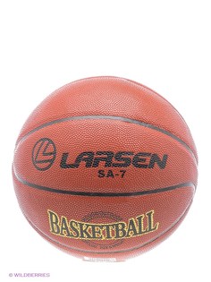 Баскетбольные Larsen