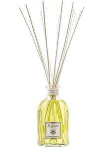 Ароматизатор воздуха Fiori di Iris & Ginestra Dr.Vranjes