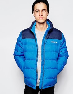 Дутая куртка adidas Originals AB7874 - Синий
