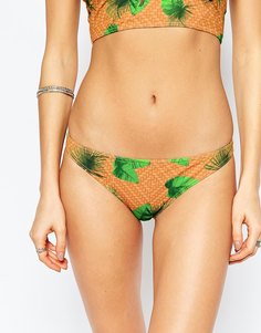 Бикини-трусики с пальмовым принтом ASOS - Wicker palm