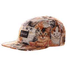 Бейсболка пятипанелька Ripndip Nermal Camp Cap Multi
