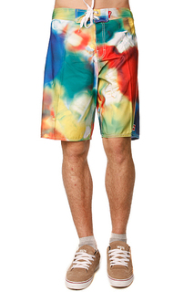 Пляжные мужские шорты Globe Creep 22 Boardie Multi