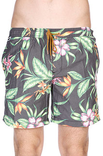 Шорты пляжные Globe Havana Pool Short Multi Coloured