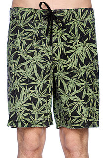 Пляжные мужские шорты Fallen Board Short Green Leaf