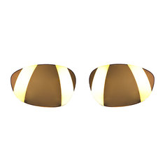 Линза для маски (мото/вело) Oakley XX X-metal Repl Lens Kit 24k Irid.(oleo)