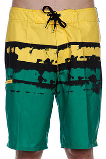 Пляжные мужские шорты Analog Dorado Brdshort Green