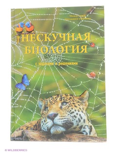 Книги Воскресный день