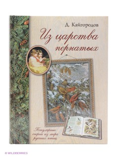 Книги Воскресный день