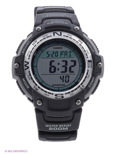 Часы CASIO