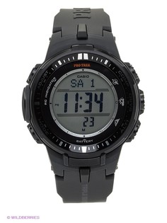Часы CASIO