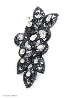 Броши Vittorio Richi