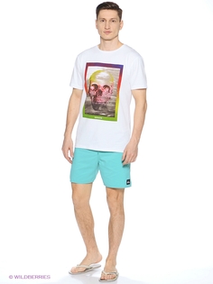 Шорты Quiksilver