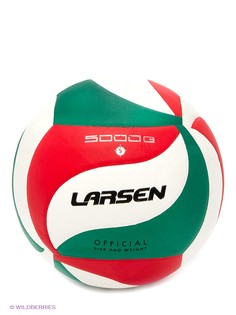 Волейбольные Larsen
