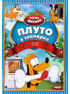 DVD диски ИДДК