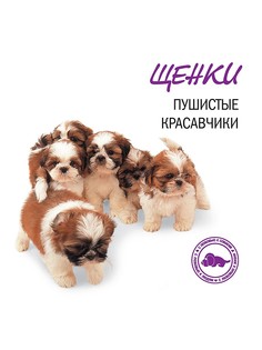 Книги Издательство КоЛибри