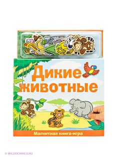 Игровые наборы Магнитные книжки