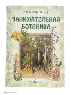 Книги Воскресный день